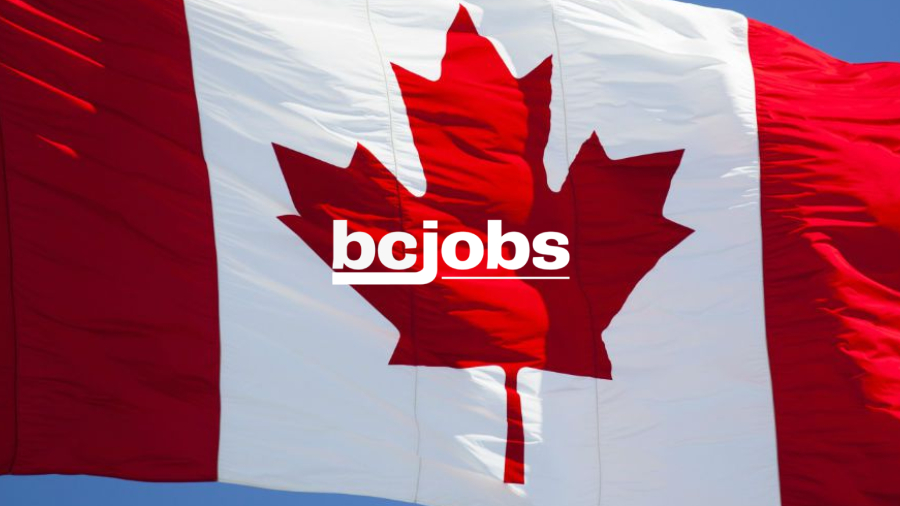BC Jobs SEO case study