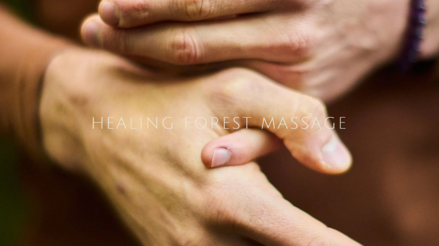 Healing Forest Massage SEO case study