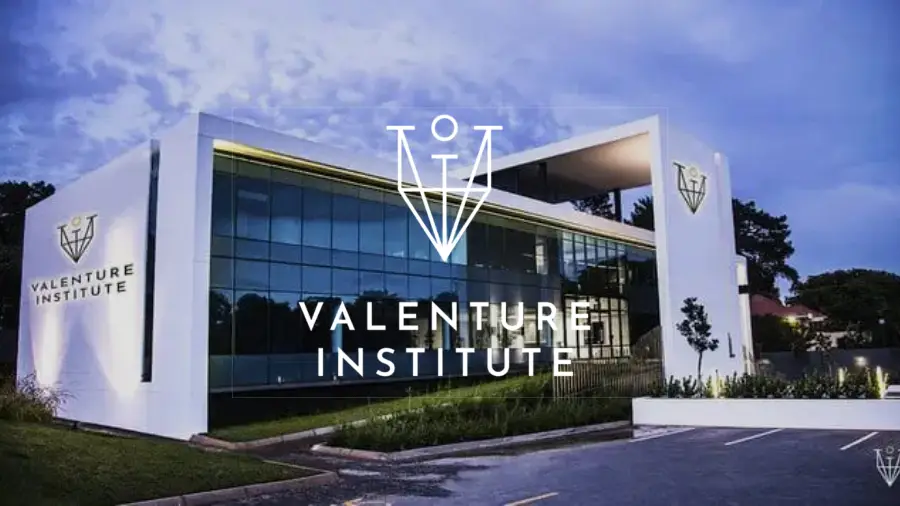 Valenture Institute SEO case study