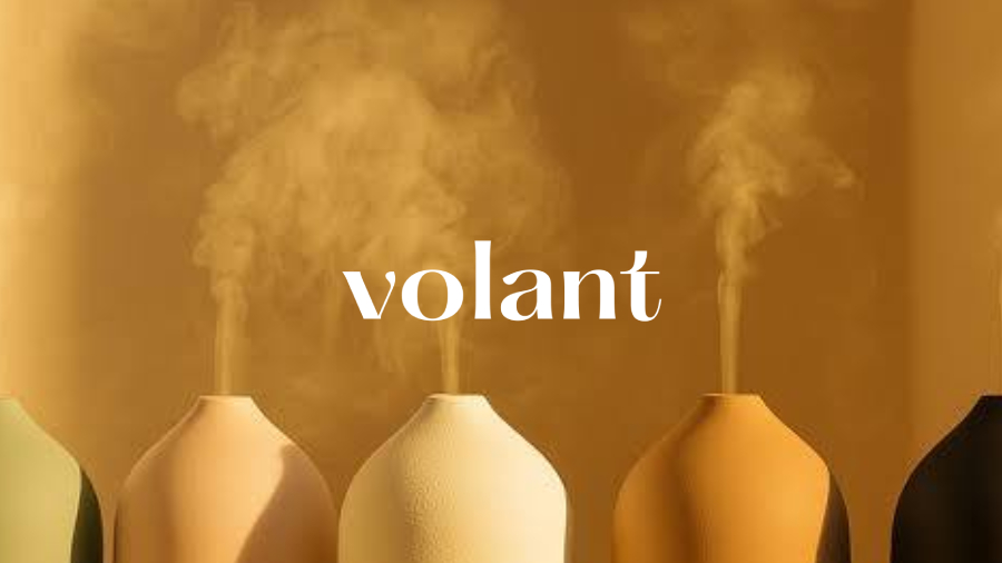 Volantaroma SEO case study