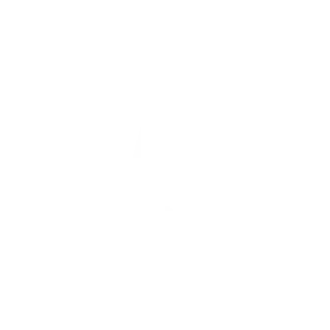 featured in wall street journal WSJ as best seo services company