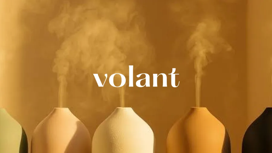volantaroma seo